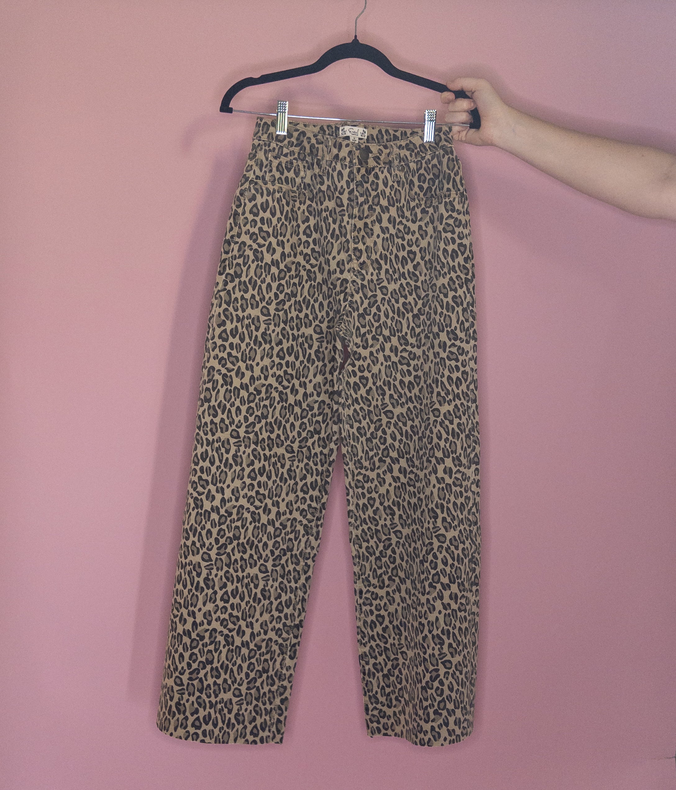 Spotted in Style Pants